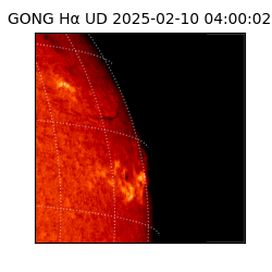 gong - 2025-02-10T04:00:02