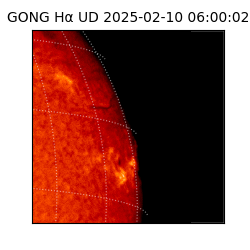 gong - 2025-02-10T06:00:02