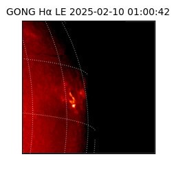 gong - 2025-02-10T01:00:42