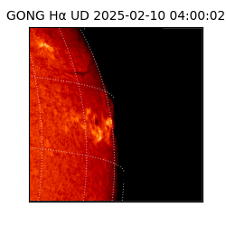 gong - 2025-02-10T04:00:02