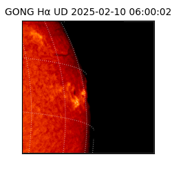 gong - 2025-02-10T06:00:02