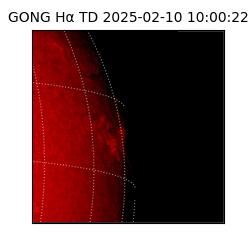 gong - 2025-02-10T10:00:22