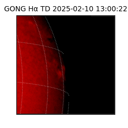 gong - 2025-02-10T13:00:22