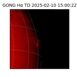 gong - 2025-02-10T15:00:22