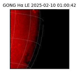 gong - 2025-02-10T01:00:42