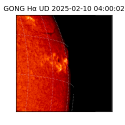 gong - 2025-02-10T04:00:02