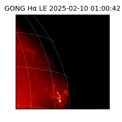 gong - 2025-02-10T01:00:42