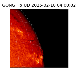gong - 2025-02-10T04:00:02