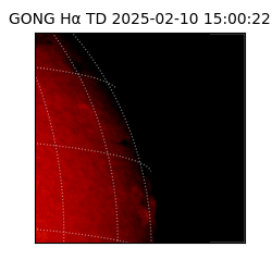 gong - 2025-02-10T15:00:22