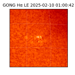 gong - 2025-02-10T01:00:42