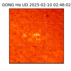 gong - 2025-02-10T02:46:02