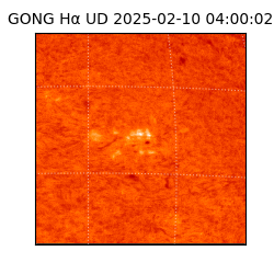 gong - 2025-02-10T04:00:02