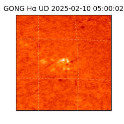 gong - 2025-02-10T05:00:02