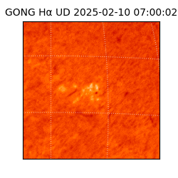 gong - 2025-02-10T07:00:02