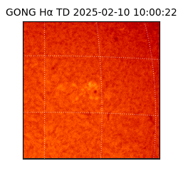 gong - 2025-02-10T10:00:22