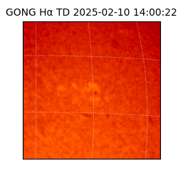 gong - 2025-02-10T14:00:22