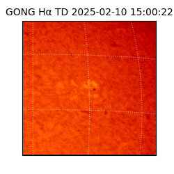 gong - 2025-02-10T15:00:22