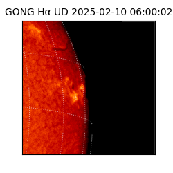 gong - 2025-02-10T06:00:02
