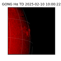 gong - 2025-02-10T10:00:22