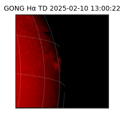 gong - 2025-02-10T13:00:22