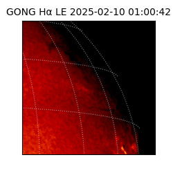 gong - 2025-02-10T01:00:42