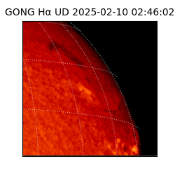 gong - 2025-02-10T02:46:02