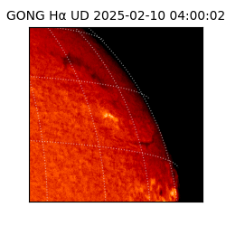 gong - 2025-02-10T04:00:02