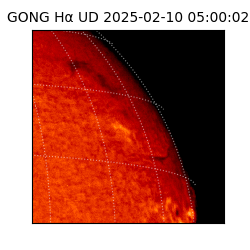gong - 2025-02-10T05:00:02