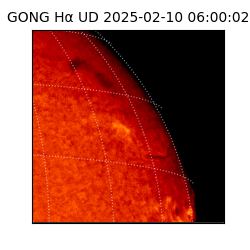 gong - 2025-02-10T06:00:02
