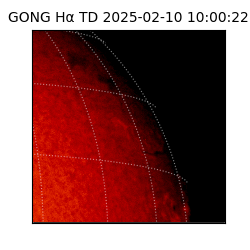 gong - 2025-02-10T10:00:22