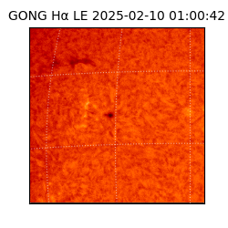 gong - 2025-02-10T01:00:42