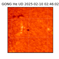 gong - 2025-02-10T02:46:02