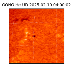 gong - 2025-02-10T04:00:02