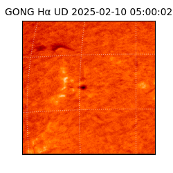 gong - 2025-02-10T05:00:02