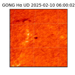 gong - 2025-02-10T06:00:02