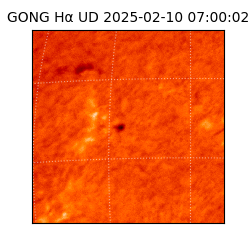 gong - 2025-02-10T07:00:02