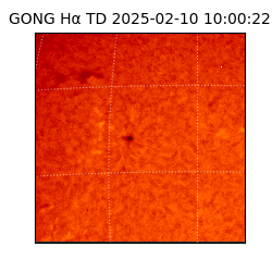 gong - 2025-02-10T10:00:22