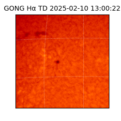gong - 2025-02-10T13:00:22