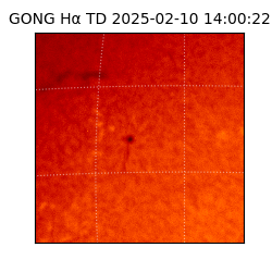 gong - 2025-02-10T14:00:22