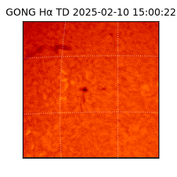 gong - 2025-02-10T15:00:22
