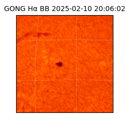 gong - 2025-02-10T20:06:02