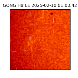 gong - 2025-02-10T01:00:42