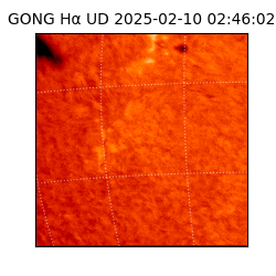 gong - 2025-02-10T02:46:02