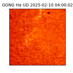 gong - 2025-02-10T04:00:02