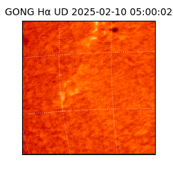 gong - 2025-02-10T05:00:02