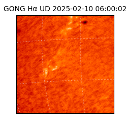 gong - 2025-02-10T06:00:02