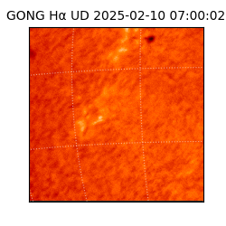 gong - 2025-02-10T07:00:02