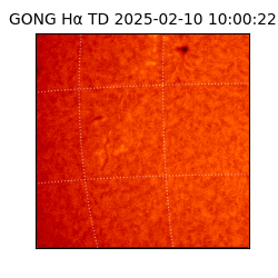 gong - 2025-02-10T10:00:22