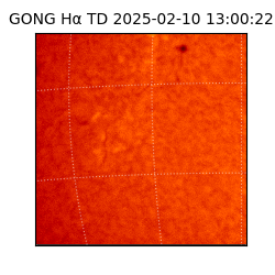 gong - 2025-02-10T13:00:22