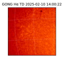 gong - 2025-02-10T14:00:22
